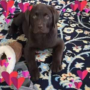 Meet your Posher, Cathy